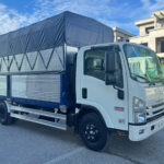 XE TẢI ISUZU TỪ 3 TẤN N-SERIES MASTER TRUCK 4 1782121617148 8649019610372306531 g3896224208828280182 747c22b87f2ce3041f80db7fae8efcfb edited
